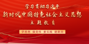 學習貫徹習近平新時代中國特色社會主義思想主題教育